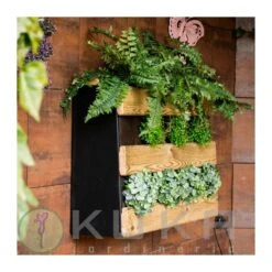 Anclaje Pared Para Huerto Urbano Jardín Vertical -Tienda de Bonsáis Artísticos anclaje pared para huerto urbano jardin vertical 4